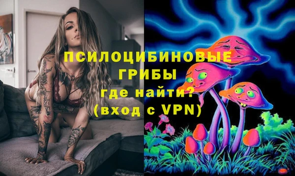 гидропоника Аркадак