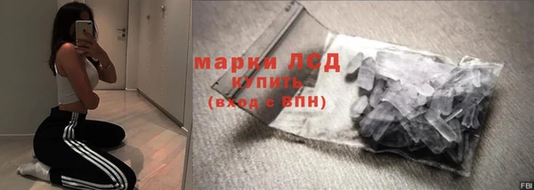 прущие грибы Арсеньев