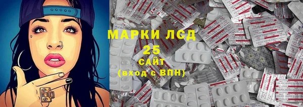 ECSTASY Пересвет
