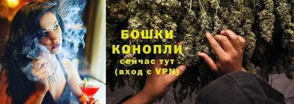 прущие грибы Арсеньев