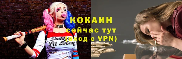 крисы Пестово