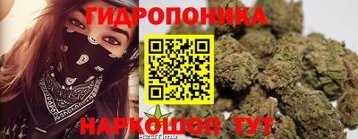 молекула духа Лесосибирск