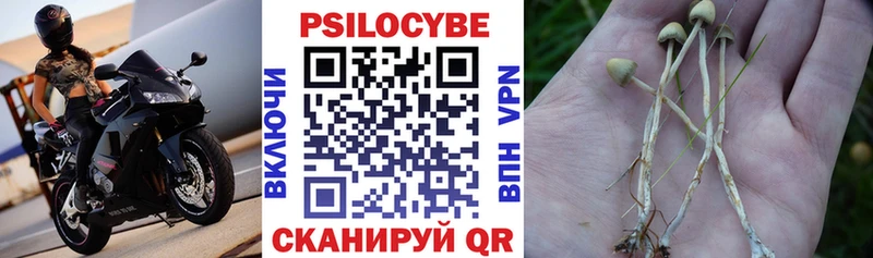 Псилоцибиновые грибы мухоморы  наркотики  Пушкино 